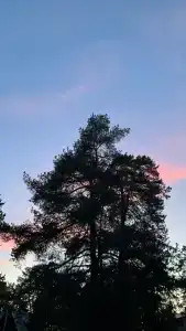 Armageddon - 20