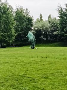 The Ritz-Carlton, - 20