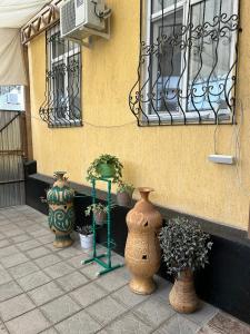 Guest House Viator - 16