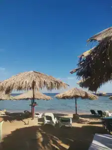 Tamra Beach Resort - 27