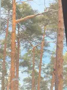 Okatur Tourist base - 79