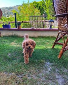 Club Datca Holiday Village - 13