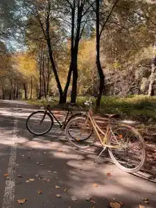 Кронон Парк - 17