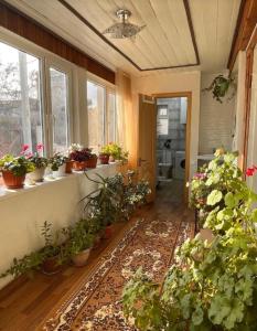 Gulnara Guest House - 2