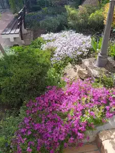 Sanatoriy Tsentrosoyuz Kislovodsk - 31