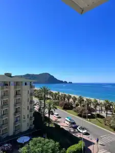 Kleopatra Royal Palm - 41