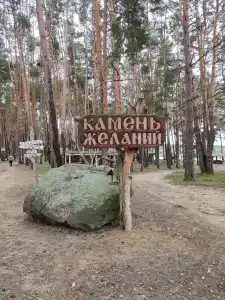 Park semeynogo otdyha Andreevskiy - 84