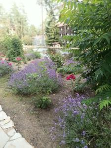 Usadba Meshcherskaya Park-Hotel - 51