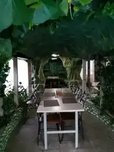 АНДАЛУСИЯ - 72