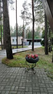 Березина (Минская обл.) - 14