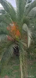 Atriya Mini-Hotel - 34