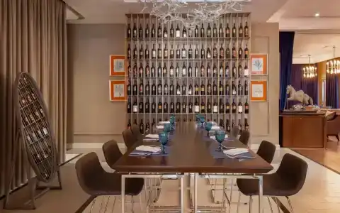 Chekhoff Moscow Curio Collection by Hilton - 43