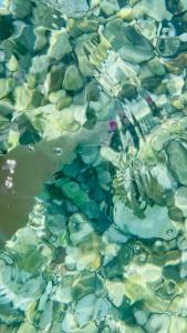 Fame Residence Kemer & Spa - 81