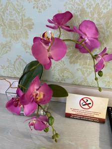 Gostinichny Kompleks "zolotoy Slon" - 50