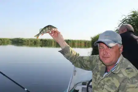 Tihiy Prichal Tourist base - 62