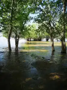 Baza otdykha Gremuchiy - 57