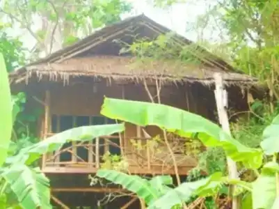 Viking Nature Resort - 31