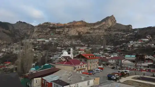 Белые журавли - 56