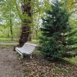 Lago-Naki Resort - 33