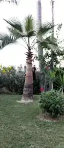 Sundance Residences & Suites - 46