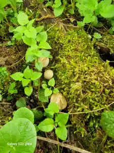 Kikino Na Vele Guest House - 33