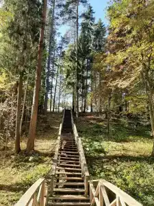 Sanatoriy Shchelykovo - 60