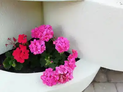 Guest House Positive - 41