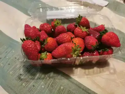 Otel' Slavyanskaya - 32