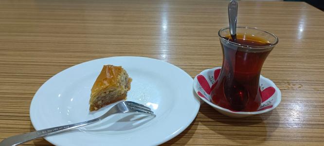 Altai Business - 13