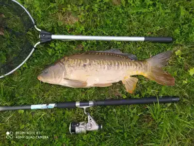 Guest house Karpolov Park - 36