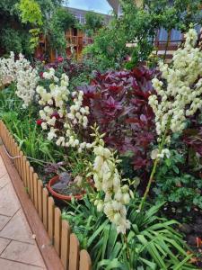 Pansionat Morskie Rify - 43