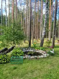 Recreation center Himik - 4