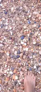 Baza otdykha Golden Sands - 43