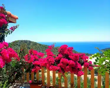 Istlada Tas EV Apart - 8