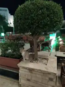 Cataract Layalina Naama Bay - 14