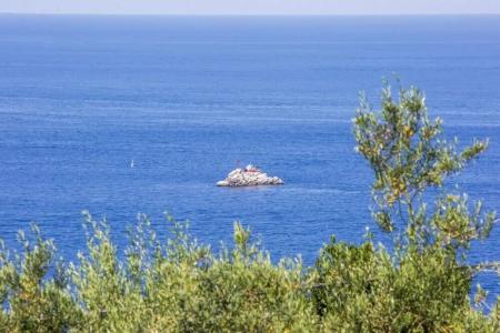 Vista di Capri - 8