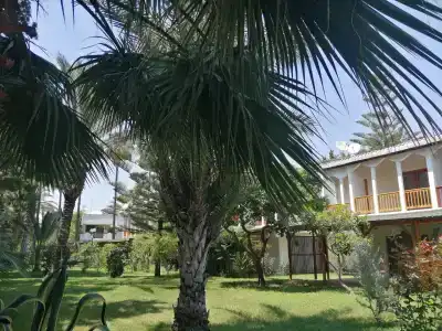 Antik Garden - All Inclusive - 20