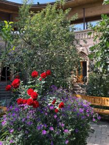 ANTICA Family Guest House - 4