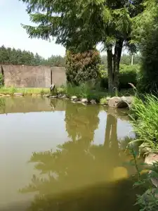 Agrousadba Pelika - 13