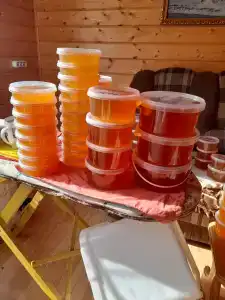 Belaya loshad Tourist base - 15