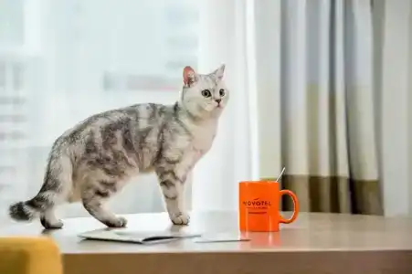 Novotel Moscow City - 28