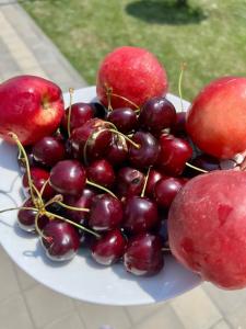 ЛетоoтеЛь - 94