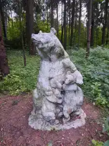 Санаторий Солнечногорский Минобороны России - 29