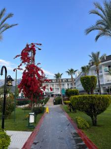 Zena Resort - 18