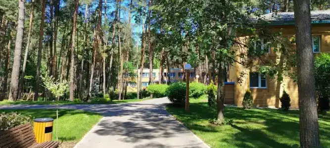 Lesnaya Opushka Tourist base - 0