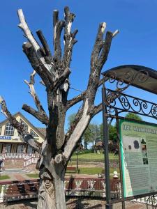 Eko-kompleks Nikolaevskie Prudy - 37