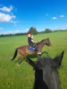 Belaya loshad Tourist base - 10