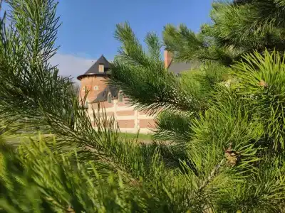 La Ferme de Reve - 29