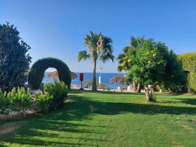 Sharm Club Beach Resort - 29