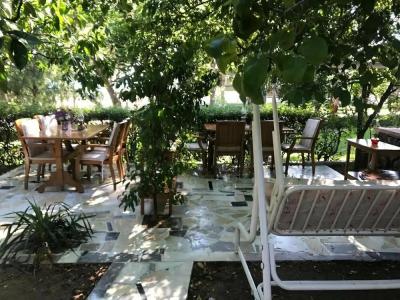 Thassos Apart Otel - 8